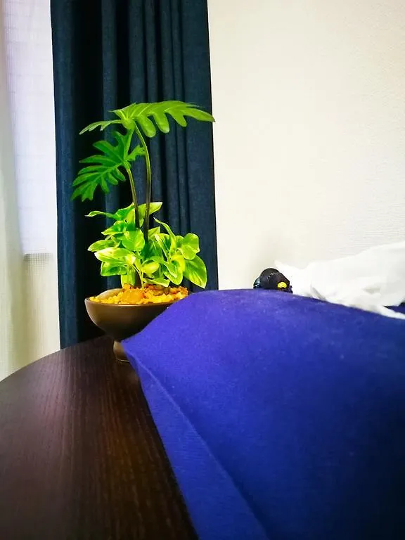 Shinjuku Luxury Three Floor House Apartment Tokyo Japan
