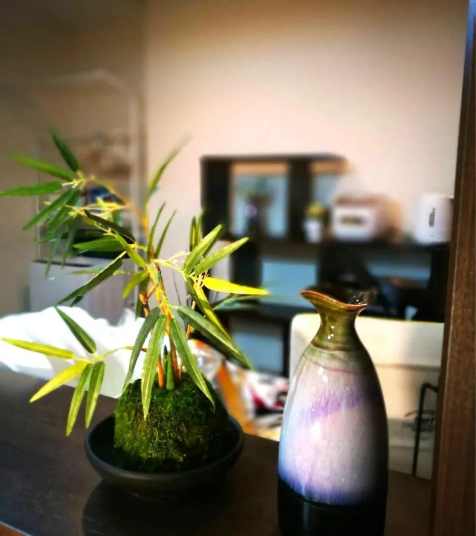 Shinjuku Luxury Three Floor House Apartment Tokyo