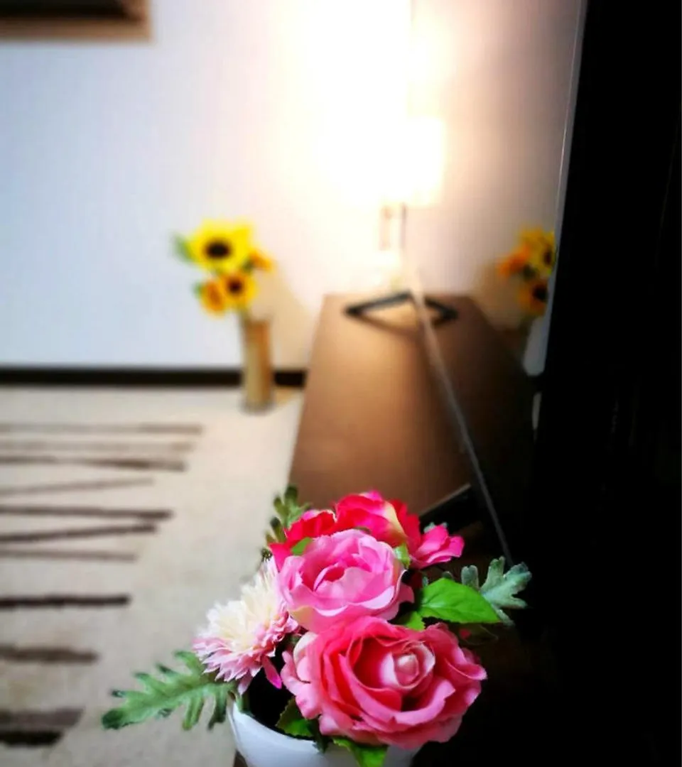 Shinjuku Luxury Three Floor House Apartment Tokyo